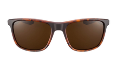 Essential Endeavor Sunglasses "Matte Tortoise / Brown" EV1122 202