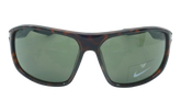 Premier Stride Sunglasses "Tortoise / Vert" IB3286X 200