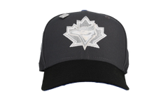 59FIFTY Toronto Blue Jays 30th Season Fitted Hat "Graphite / Ice" NE404