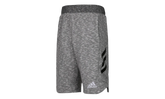 Pick Up Shorts "Grey" CE6959