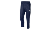 Sportswear Pants AR2246 410