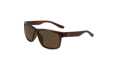 Cruiser Sunglasses "Transparent Oak Brown" EV0834 220