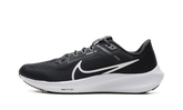 Air Zoom Pegasus 40 Wmns"Black" DV3854 001