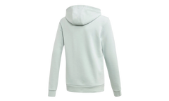 Originals Trefoil Hoodie GS "Vapour Green / White" ED7814