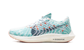 Pegasus Turbo Next Nature Wmns"Jade Ice" DM3414 300