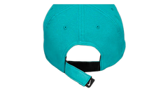Dri-FIT Club Structured Swoosh Cap "Dusty Cactus / Black" FB5625 345