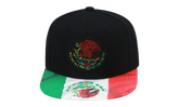 Branded Flag 2 Tone Snapback Cap "Mexican Flag - Black / Green" 6HSSTD17412 MNNBKGN