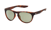Essential Jaunt R Sunglasses "Matte Tortoise / Green" EV1007 207
