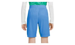 Dri-Fit Trophy Training Shorts GS "Blue / Yellow" 939655 414