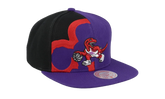 NBA Hardwood Classics Retroline Snapback Cap "Toronto Raptors - Purple" HHSS2992 TRAYYPPPPURP