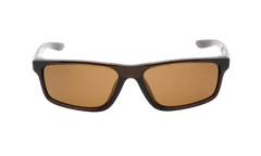 CHRONICLE SUNGLASSES "Velvet Brown" CW4656 220