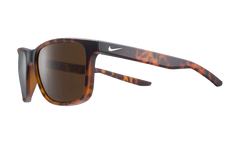 Essential Endeavor Sunglasses "Matte Tortoise / Brown" EV1122 202