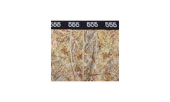 Boxer Briefs "Camo" SP5der242