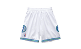 NBA Swingman Shorts "1995 Minnesota Timberwolves - White" SMSHSB19045 MTIWHIT95