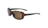 Breeze Sunglasses "Soft Tortoise Gold" CT8031 220