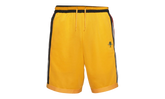 Dri-fit Dna+ Rayguns Basketball Shorts "Yellow / Black / Red" DJ5322 739
