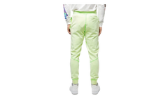 Jordan MJ Wings Washed Fleece Pants "Ghost Green" CD4575 380