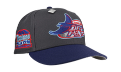 59FIFTY Tampa Bay Rays Tropicana Field Fitted Hat "Graphite / Navy" NE390