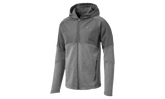 Evostripe WR Full-Zip Hoodie "Gray" 851726 03