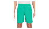 Dri Fit Training Shorts GS "Green" DX5382 324