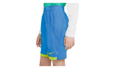 Dri-Fit Trophy Training Shorts GS "Blue / Yellow" 939655 414