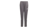 Tiro 21 Track Tracksuit Bottoms GS "Team Grey Four" GM7384