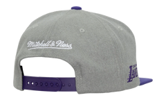 NBA Melt Stitch Snapback Cap "Los Angeles Lakers - Grey" HS9444 LALGREY