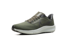 Air Zoom Pegasus 39 "Cargo Khaki" DH4071 300