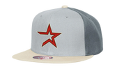 MLB Triple Play Cooperstown "Astros" HY11519-HASGREY_OS