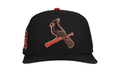 9FIFTY St. Louis Cardinals Busch Stadium A Frame Snapback Hat "Black Metallics" NE384