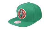 NBA Hardwood Classics Team Ground 2.0 Snapback Cap "Boston Celtics - Green" HHSS3258 BCEYYPPPGREN