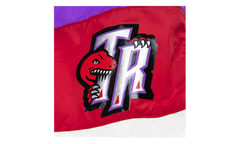 NBA Striped Short "Toronto Raptors - Purple" SHORBW19051 TRAPTPR