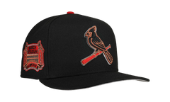 9FIFTY St. Louis Cardinals Busch Stadium A Frame Snapback Hat "Black Metallics" NE384