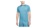 Dri-FIT Academy Short-Sleeve Football Top "Green Abyss / Pure / Green Abyss / White" DQ5053 301