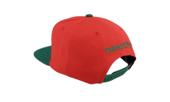 NHL Team 2 Tone 2.0 Snapback Cap "New Jersey Devils - Red / Green" HHSS5367 NJDYYPPPRDGN