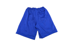 Air Jordan AJ11 Legacy Mesh Shorts "Germain Blue / Black" BQ0199 494