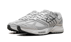 Air Peg 2K5 WMNS"Pure Platinum" HJ5271 001