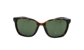 Sentiment Sunglasses "Dark Tortoise Green" CT7886 220