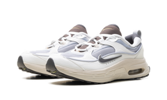 Air Max Bliss WMNS"Next Nature Wolf Grey Summit White" DZ4707 001