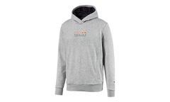 RED BULL RACING DYNAMIC BULL HOODIE "Gray" 596207 02