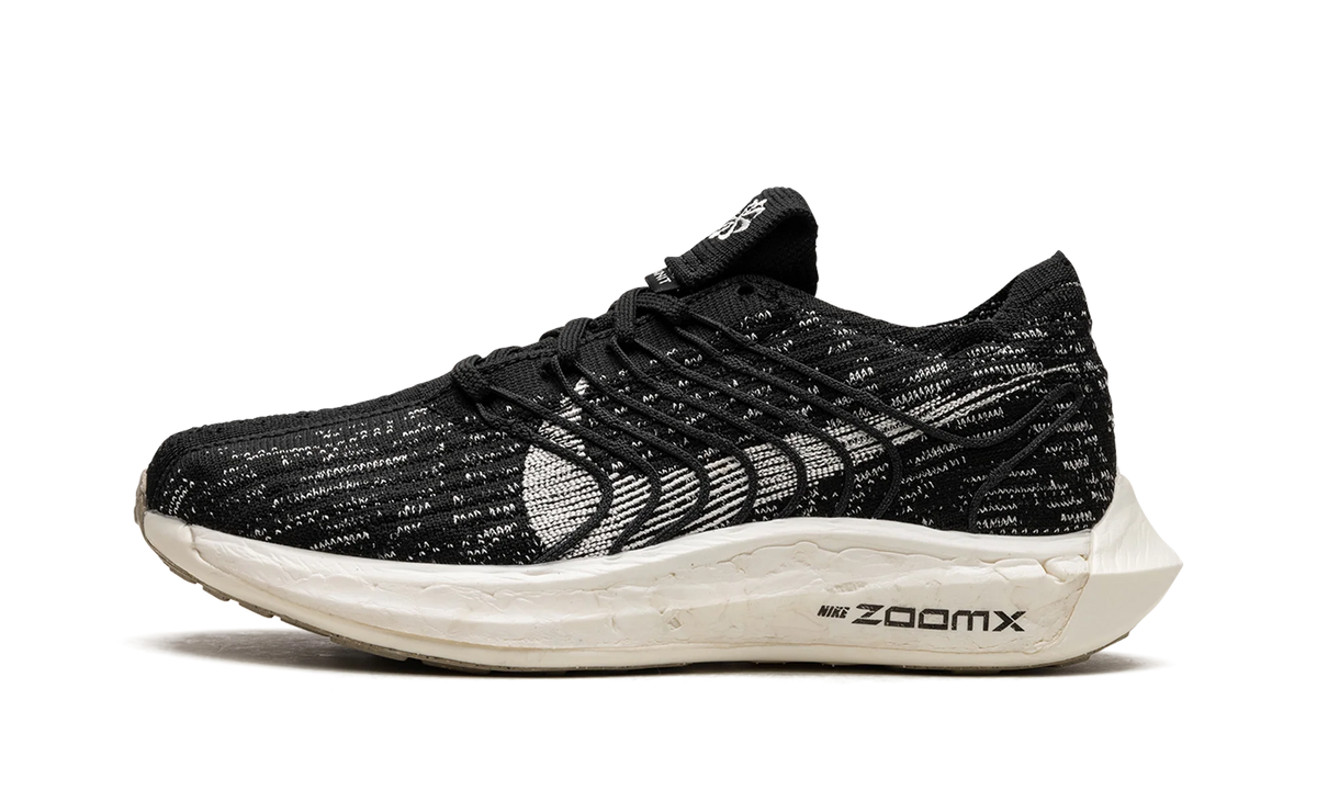 PEGASUS TURBO NEXT NATURE WMNS"Black Sail" DM3414 001