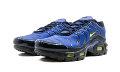 Air Max Plus (GS) CD0609 401