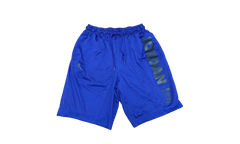 Air Jordan AJ11 Legacy Mesh Shorts "Germain Blue / Black" BQ0199 494
