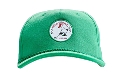 PRO ALBATROSS GRAPHIC GOLF HAT "Stadium Green / Coal Black / Black" HV7015 324
