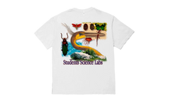 Science Labs SS Tee "White" SG2504108