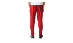 Tiro17 Training Pant "Team Maroon / Black" D94749