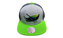 MLB Triple Play Cooperstown "Rays" HY11519-TBRGREY_OS