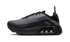 Air Max 2090 PS "Black Wolf Grey" CU2093 001