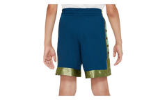 Dri-Fit Elite Basketball Shorts GS "Dark Teal / Gold" DA0173 460