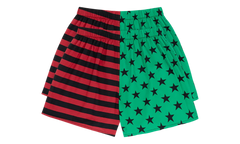 Boxer 2-Pack "Multicolor" DT308